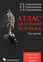 Атлас анатомии человека. В 4 томах. Том 3. Ангиология. Лимфоидные ограны