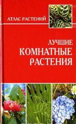 Лучшие комнатные растения