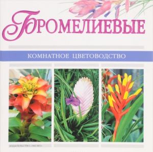 Bromelievye