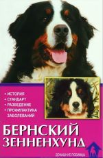 Bernskij zennenkhund. Istorija. Standarty. Razvedenie. Profilaktika zabolevanij