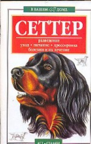 Сеттер