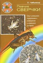 Певчие сверчки. Опыт успешного содержания и разведения в домашних условиях