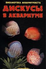 Дискусы в аквариуме