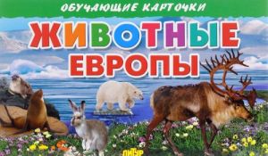 Животные Европы (набор из 16 карточек)