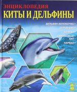 КИТЫ И ДЕЛЬФИНЫ