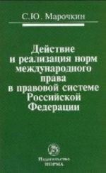 Dejstvie i realizatsija norm mezhdunarodnogo prava v pravovoj sisteme Rossijskoj Federatsii: monografija