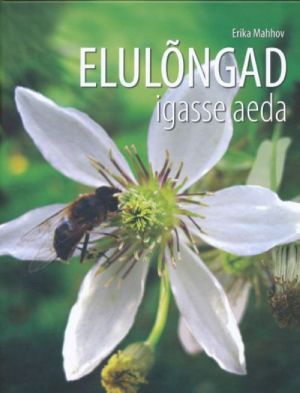 ELULONGAD IGASSE AEDA