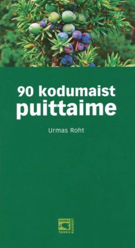 90 KODUMAIST PUITTAIME