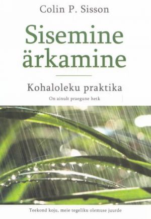 SISEMINE ÄRKAMINE