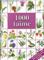 1000 TAIME