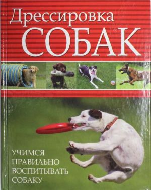 Дрессировка собак. Учимся правильно воспитывать собаку