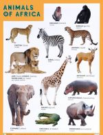 Animals of Africa / Zhivotnye Afriki. Plakat