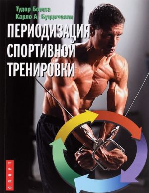 Периодизация спортивной тренировки