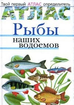 Рыбы наших водоемов.Твой первый атлас-определ.