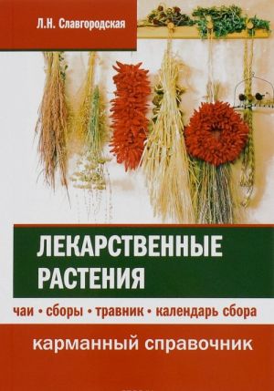 Лекарственные растения. Чаи, сборы, травник, календарь сбора