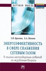 Energoeffektivnost v sfere snabzhenija setevym gazom. V poiskakh nestandartnykh otvetov na nezadannye voprosy