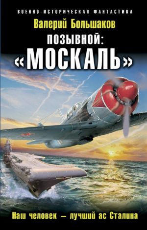 Позывной: "Москаль". Наш человек - лучший ас Сталина