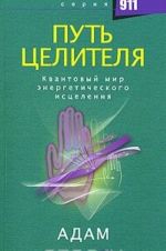 Put tselitelja. Kvantovyj mir energeticheskogo istselenija