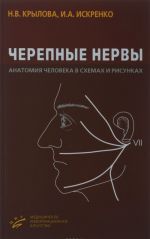 Cherepnye nervy. Anatomija cheloveka v skhemakh i risunkakh: Atlas-posobie. 5-e izd. Krylova N.V.