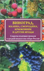 Виноград, малина, смородина, крыжовник и другие ягоды