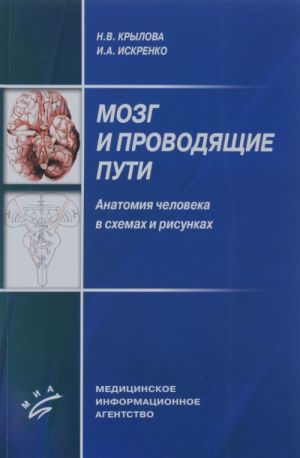 Mozg i provodjaschie puti. Anatomija cheloveka v skhemakh i risunkakh. Uchebnoe posobie