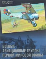 Боевые авиационные группы Первой мировой войны