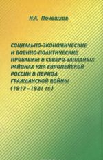 Sotsialno-ekonomicheskie i voenno-politicheskie problemy v severo-zapadnykh rajonakh Juga Evropejskoj Rossii v period Grazhdanskoj vojny (1917-1921 gg.)