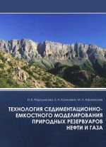 Tekhnologija sedimentatsionno-emkostnogo modelirovanija prirodnykh rezervuarov nefti i gaza