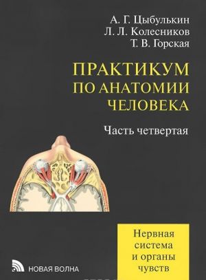 Практикум по анатомии человека. Нервная система и органы чувств. Учебное пособие. В 4 частях. Часть 4