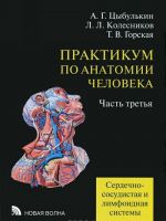 Praktikum po anatomii cheloveka. V 4 chastjakh. Chast 3. Serdechno-sosudistaja i limfoidnaja sistemy