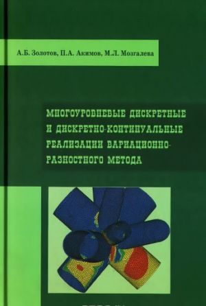 Mnogourovnevye diskretnye i diskretno-kontinualnye realizatsii variatsionno-raznostnogo metoda