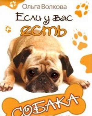 Если у вас есть собака