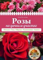 Розы на дачном участке (нов.оф.)