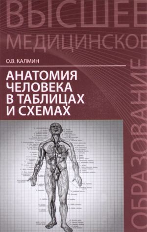 Анатомия человека в таблицах и схемах. Учебное пособие