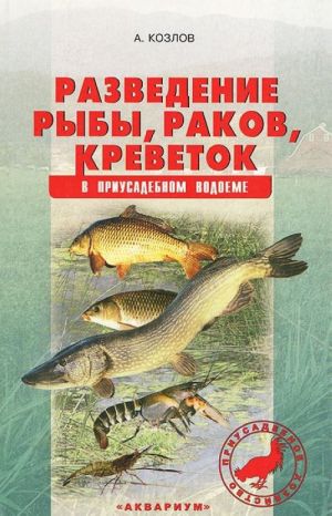 Razvedenie ryby, rakov, krevetok v priusadebnom vodoeme