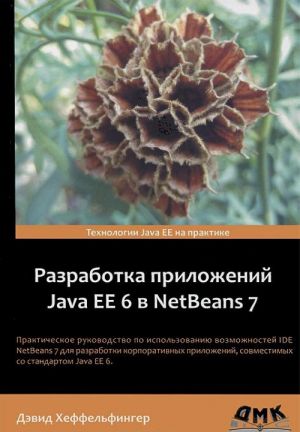 Разработка приложений Java EE 6 в NetBeans 7