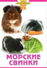 Морские свинки