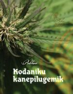 KODANIKU KANEPILUGEMIK