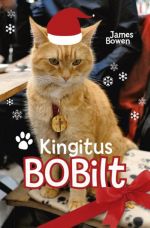 KINGITUS BOBILT