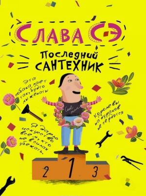 Последний сантехник