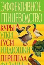 Эффективное птицеводство. Куры, утки, гуси, индюшки, перепела, фазаны