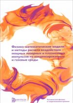 Fiziko-matematicheskie modeli i metody rascheta vozdejstvija moschnykh lazernykh i plazmennykh impulsov na kondensirovanie i gazovye sredy