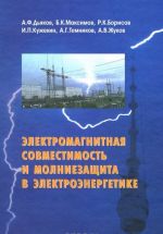 Elektromagnitnaja sovmestimost i molniezaschita v elektroenergetike. Uchebnik