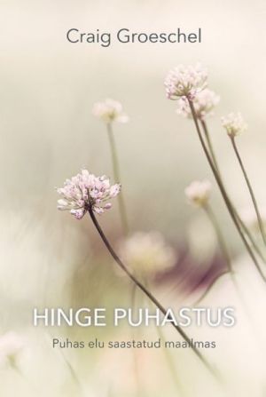 HINGE PUHASTUS