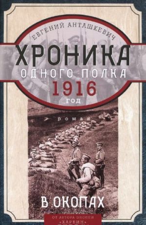 В окопах. 1916 год. Хроника одного полка