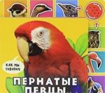 Пернатые певцы. Книжка-игрушка