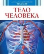 Тело человека