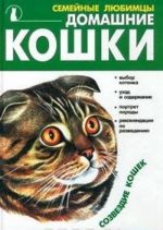 Домашние кошки