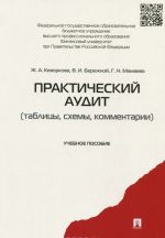 Практический аудит. Таблицы. Схемы. Комментарии. Учебное пособие