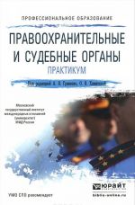 Правоохранительные и судебные органы. Практикум. Учебное пособие